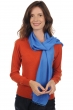 Cashmere & Seta accessori sciarpe foulard scarva fiordaliso 170x25cm